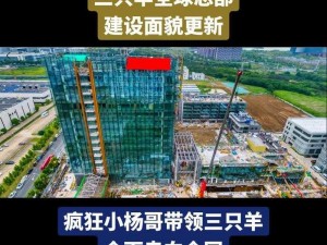 三只羊网络科技有限公司：行业领先的互联网技术与服务提供者，聚焦创新与可持续发展战略之路