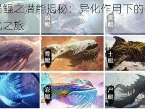 开局鲲之潜能揭秘：异化作用下的奇幻进化之旅