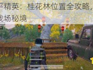 探索和平精英：桂花林位置全攻略，助你轻松掌握战场秘境