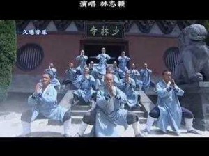 少林与忍者免费版：探寻古武术与隐秘技法的交融，免费体验传奇忍者修炼之旅