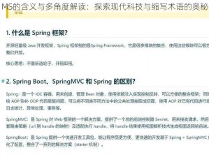 MS的含义与多角度解读：探索现代科技与缩写术语的奥秘