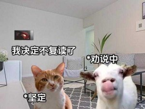 猫旅馆的奇遇：事件选择与专业服务生属性全揭秘