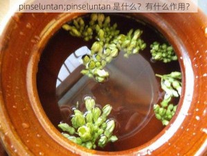 pinseluntan;pinseluntan 是什么？有什么作用？