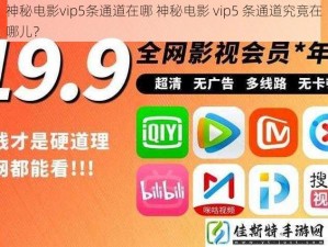 神秘电影vip5条通道在哪 神秘电影 vip5 条通道究竟在哪儿？