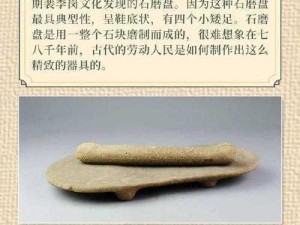 石器时代起源乌迪实用性全面剖析：探究其实用价值与历史影响