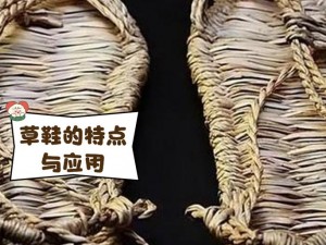 热血三国志：草鞋制作揭秘与稻草获取攻略