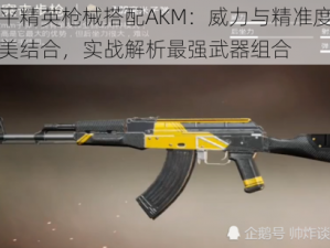 和平精英枪械搭配AKM：威力与精准度的完美结合，实战解析最强武器组合