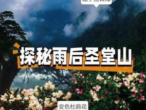 花剑交汇的独特美，墨圣山庄风景手镜头赏析攻略大全