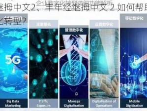 丰年经继拇中文2、丰年经继拇中文 2 如何帮助企业实现数字化转型？