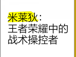 《米莱狄的深度探索：1技能二段施展的精确时机》