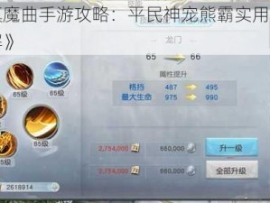 《镇魔曲手游攻略：平民神宠熊霸实用分析详解》