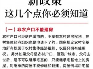 新解：2024年宅基地建房政策调整，全面解读新规下的农村建房趋势