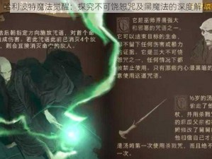 哈利波特魔法觉醒：探究不可饶恕咒及黑魔法的深度解析