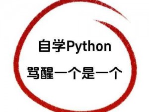 python人狗大战csdn在线看、如何在线观看 python 人狗大战 csdn？