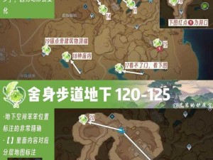 揭秘原神巨人峡谷：草神瞳详尽位置攻略与解析