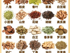 调味生活：美食佳品，全球精选调料大全名单，助你探索风味无限可能