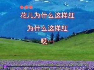 花儿6968ATV_花儿 6968ATV 直播为什么这么火？