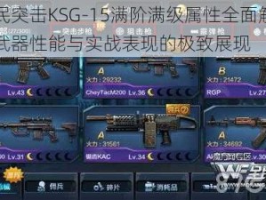 全民突击KSG-15满阶满级属性全面解析：武器性能与实战表现的极致展现