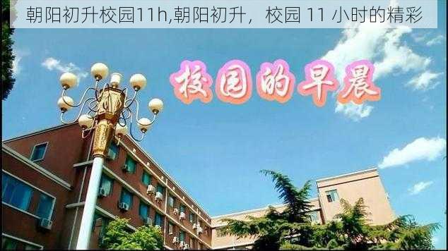 朝阳初升校园11h,朝阳初升，校园 11 小时的精彩