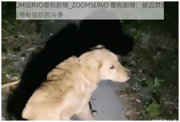 ZOOMSERVO兽狗剧情_ZOOMSERVO 兽狗剧情：被囚禁的女孩与神秘组织的斗争