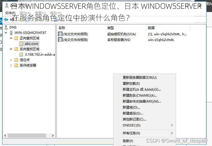 日本WINDOWSSERVER角色定位、日本 WINDOWSSERVER 在服务器角色定位中扮演什么角色？