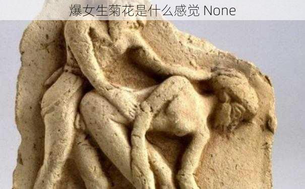 爆女生菊花是什么感觉 None