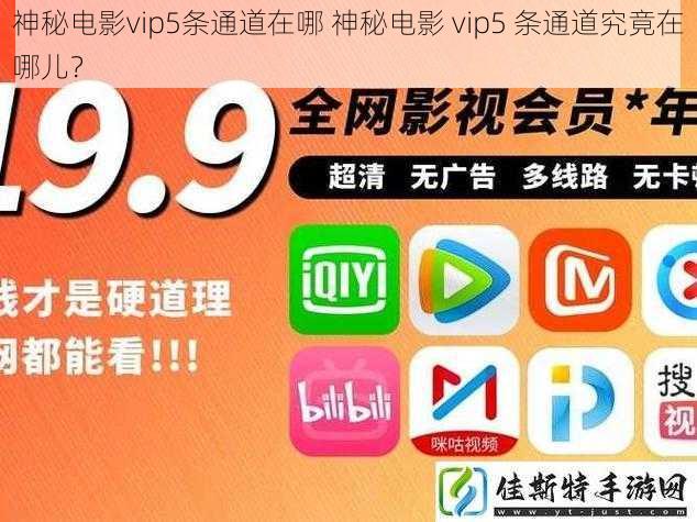 神秘电影vip5条通道在哪 神秘电影 vip5 条通道究竟在哪儿？