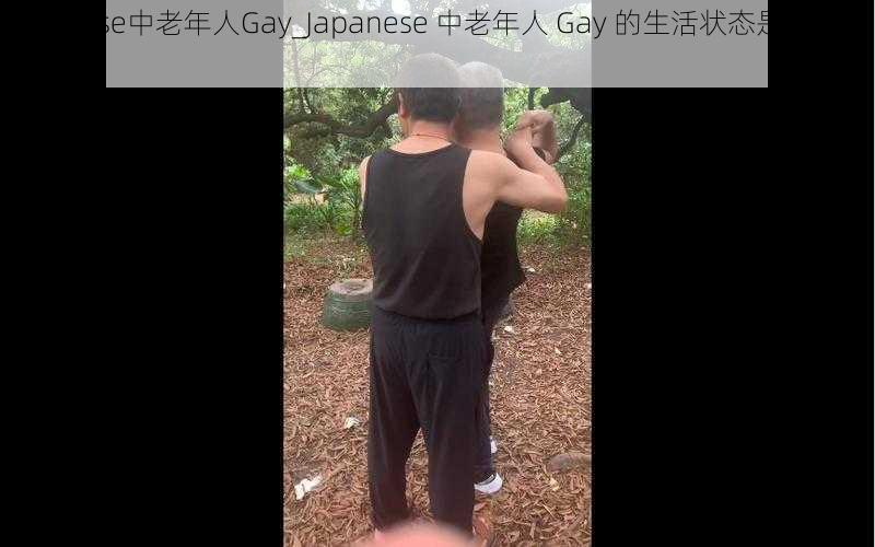 Japanese中老年人Gay_Japanese 中老年人 Gay 的生活状态是怎样的？