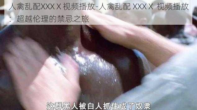 人禽乱配XXXⅩ视频播放-人禽乱配 XXXⅩ 视频播放：超越伦理的禁忌之旅