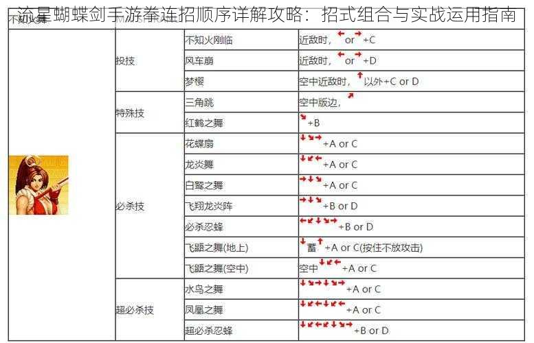 流星蝴蝶剑手游拳连招顺序详解攻略：招式组合与实战运用指南