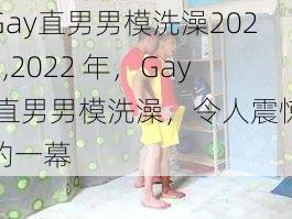 Gay直男男模洗澡2022,2022 年，Gay 直男男模洗澡，令人震惊的一幕