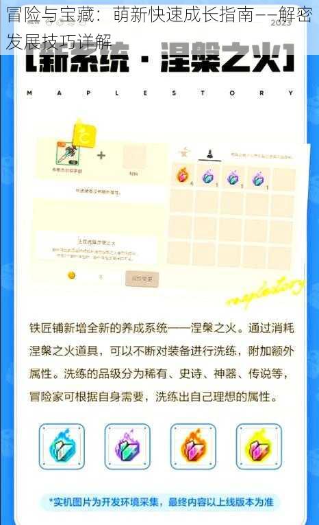 冒险与宝藏：萌新快速成长指南——解密发展技巧详解