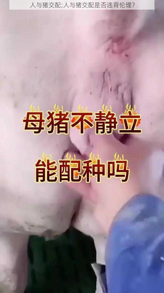 人与猪交配;人与猪交配是否违背伦理？