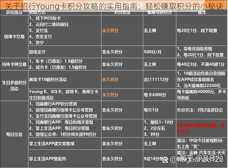 关于招行Young卡积分攻略的实用指南：轻松赚取积分的小秘诀