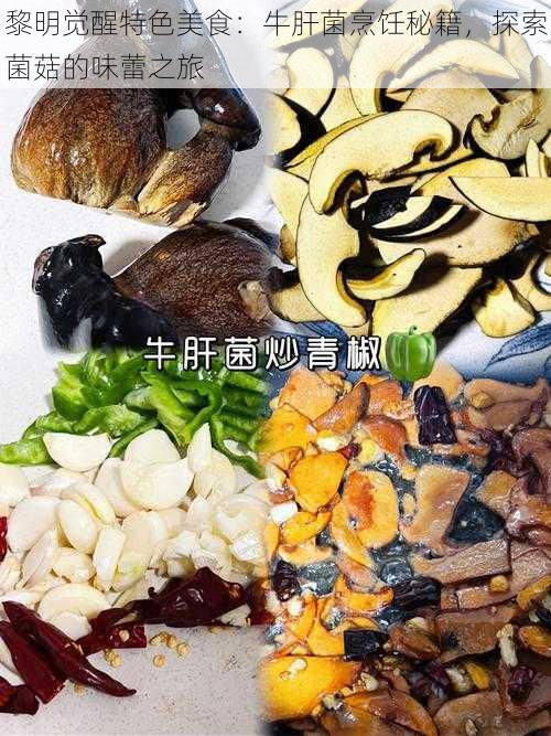 黎明觉醒特色美食：牛肝菌烹饪秘籍，探索菌菇的味蕾之旅