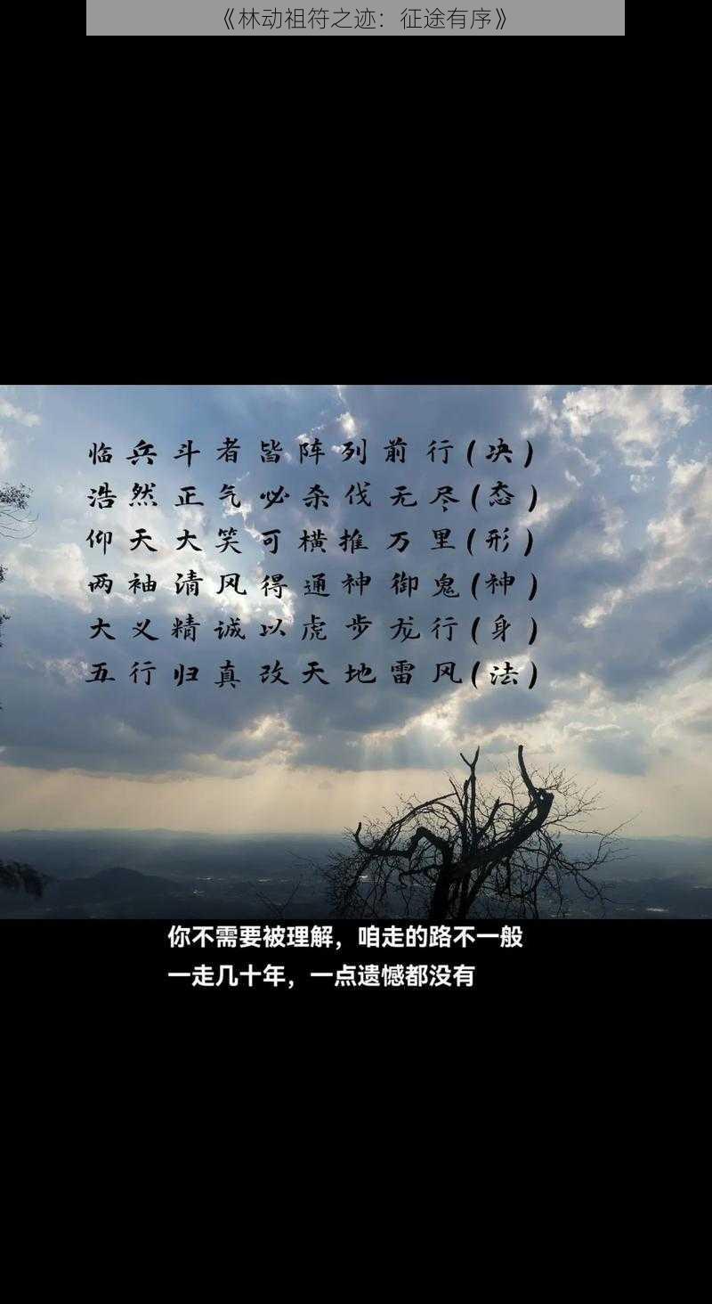 《林动祖符之迹：征途有序》