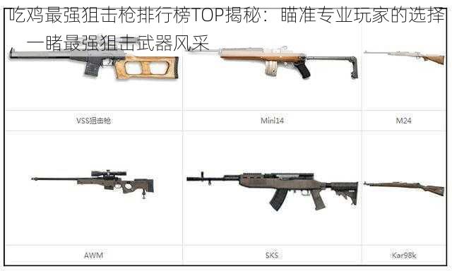 吃鸡最强狙击枪排行榜TOP揭秘：瞄准专业玩家的选择，一睹最强狙击武器风采