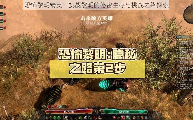 恐怖黎明精英：挑战黎明的秘密生存与挑战之路探索