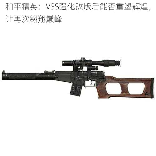 和平精英：VSS强化改版后能否重塑辉煌，让再次翱翔巅峰