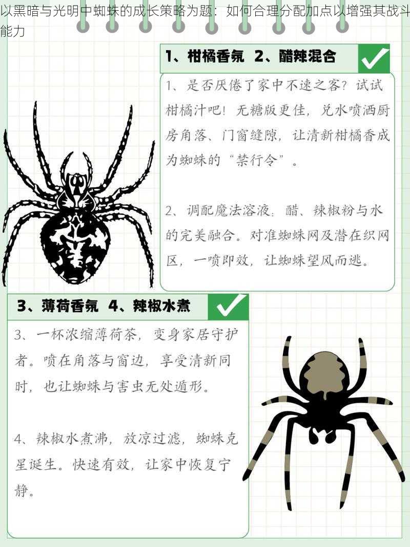 以黑暗与光明中蜘蛛的成长策略为题：如何合理分配加点以增强其战斗能力