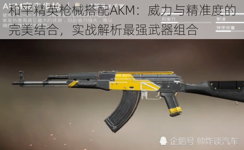 和平精英枪械搭配AKM：威力与精准度的完美结合，实战解析最强武器组合