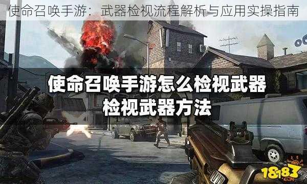 使命召唤手游：武器检视流程解析与应用实操指南