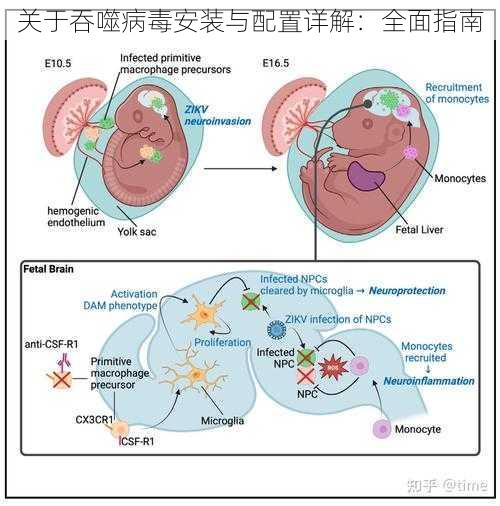 关于吞噬病毒安装与配置详解：全面指南